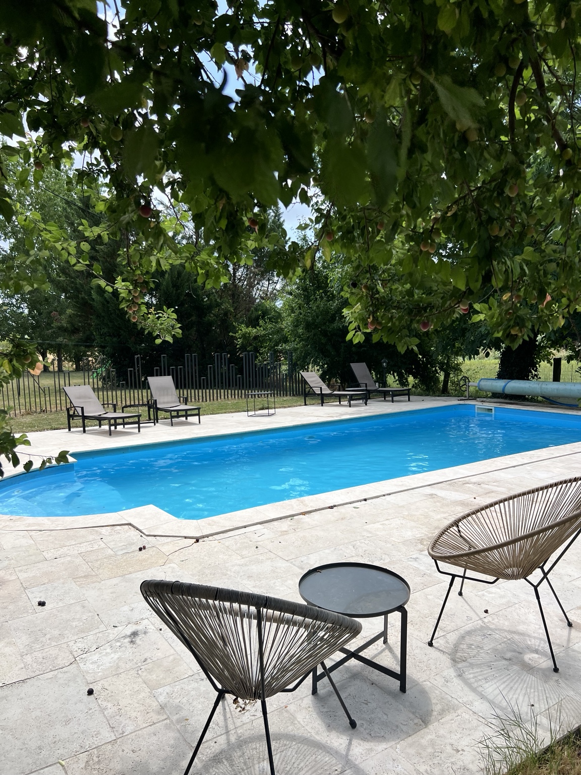 Piscine sous les arbres