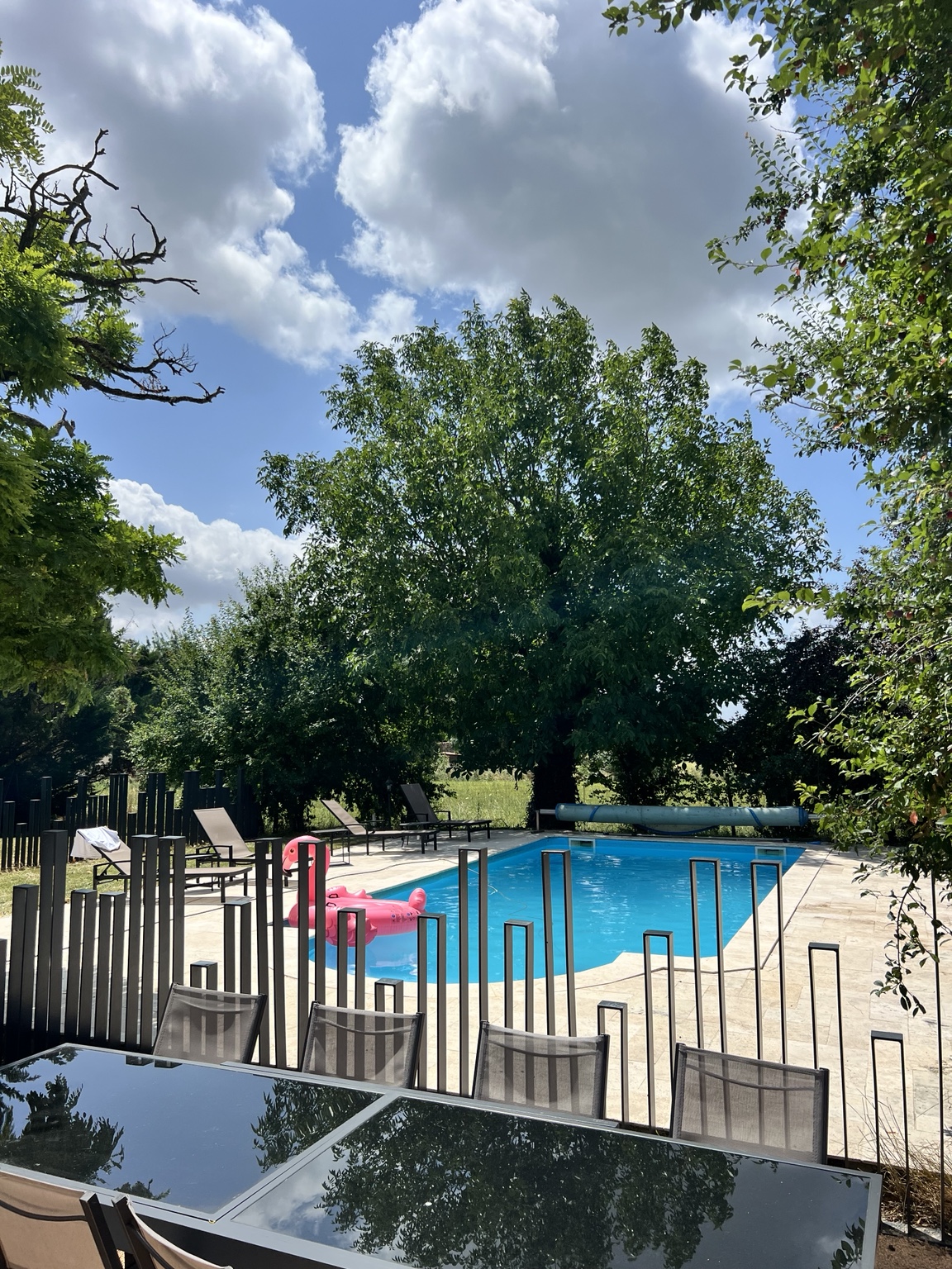 Piscine vue depuis le jardin